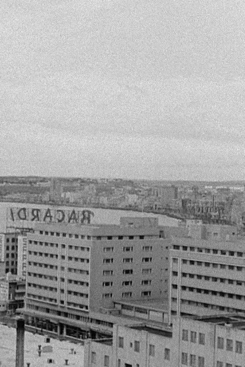 Looking for El Santo (2023) poster