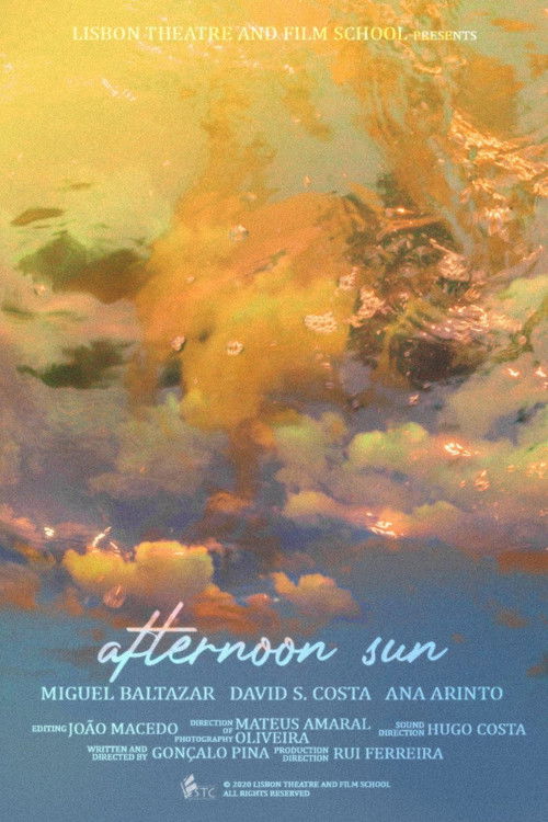 Afternoon Sun (2020) poster