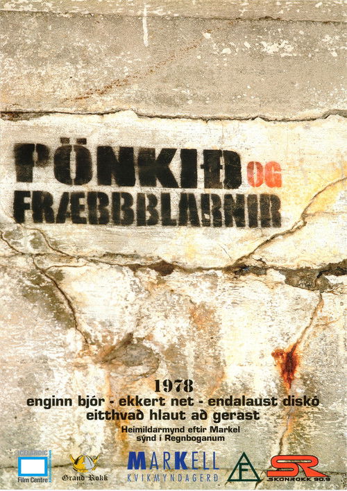Punk in Iceland (2004) poster