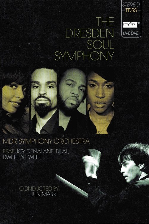 The Dresden Soul Symphony (2008) poster