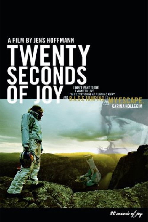 20 Seconds of Joy (2018) poster
