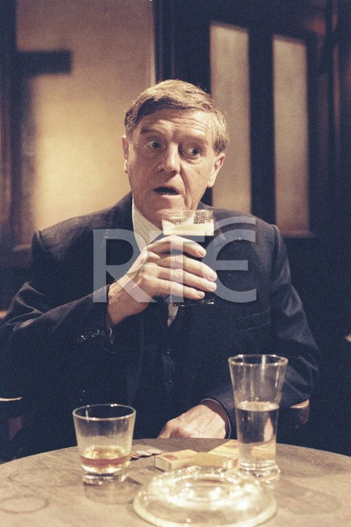 The Brother (1992) poster