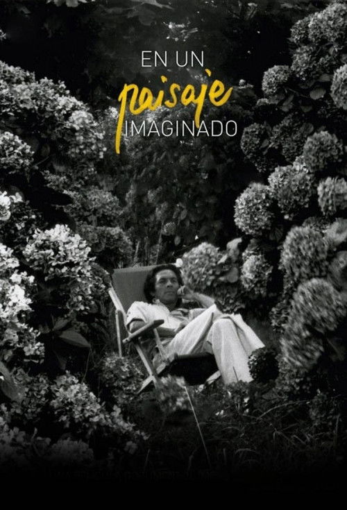 Imagined Landscape (2012) poster