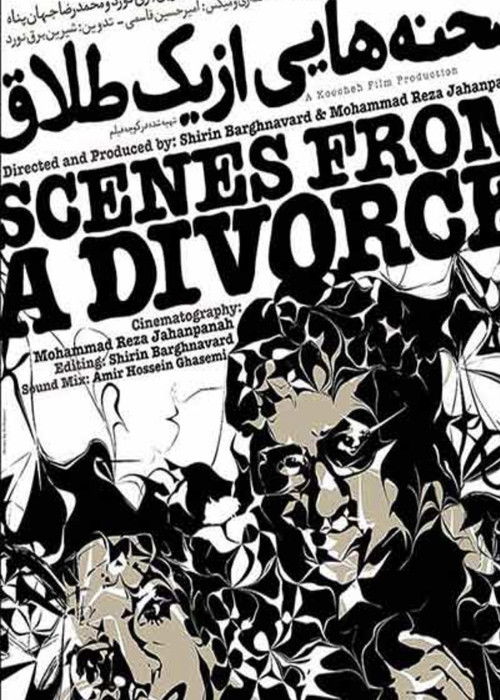 Scenes From a Divorce poster