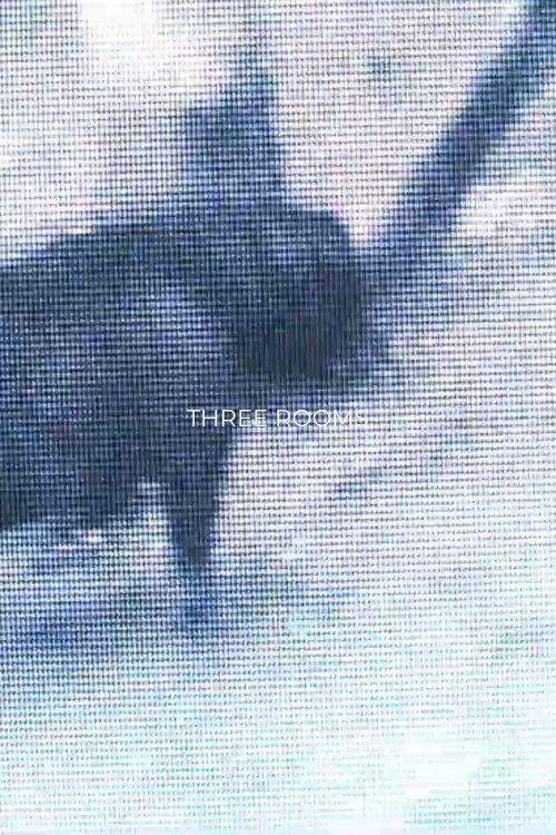 Three Rooms (2022) poster