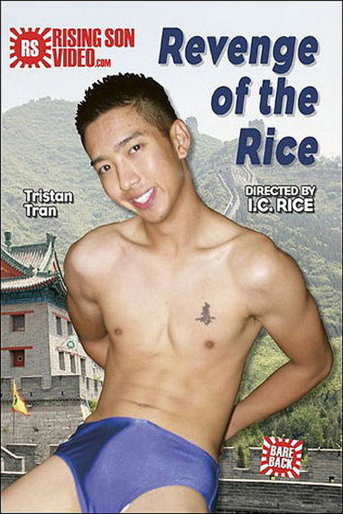 Revenge of the Rice (2008) poster