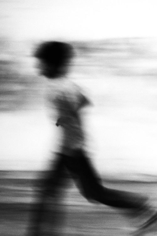 Seagull dog child (2025) poster