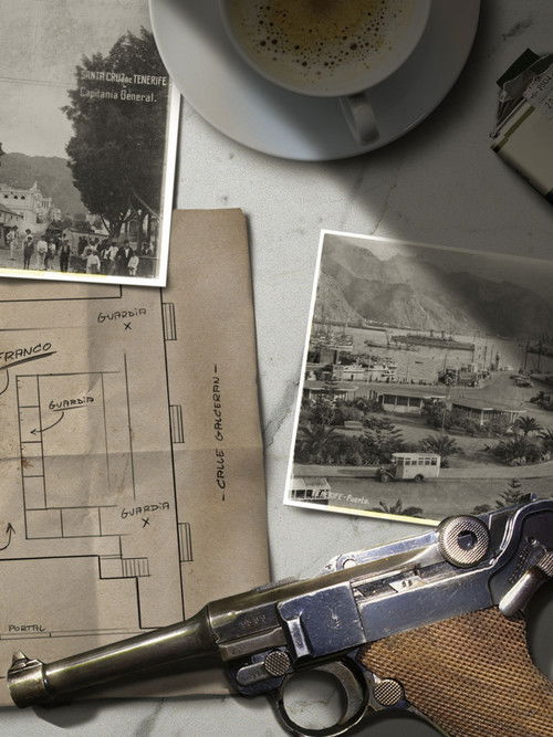 Attentate auf Franco - Widerstand gegen einen Diktator (2016) poster