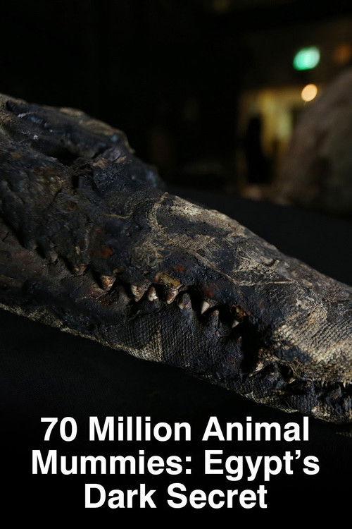 70 Million Animal Mummies: Egypt's Dark Secret (2015) poster