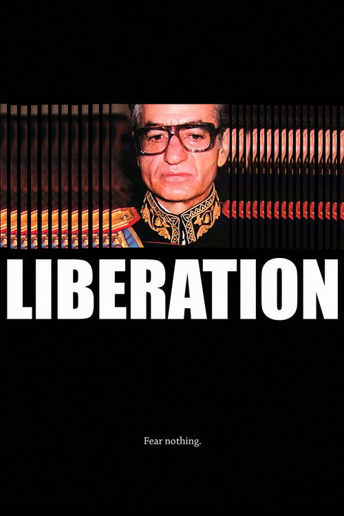 Liberation (2009) poster