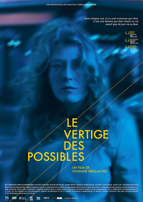 Le vertige des possibles (2014) poster