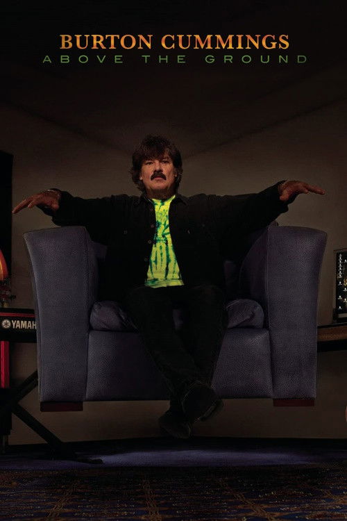 Above The Ground (2008) poster