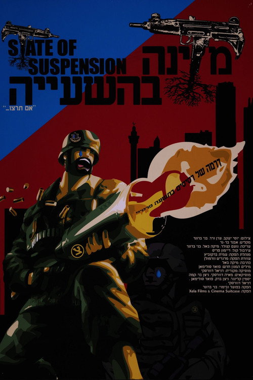 מדינה בהשעייה (2009) poster
