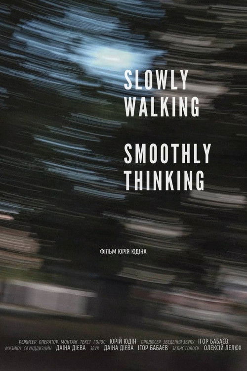 Slowly Walking, Smoothly Thinking (2024) poster