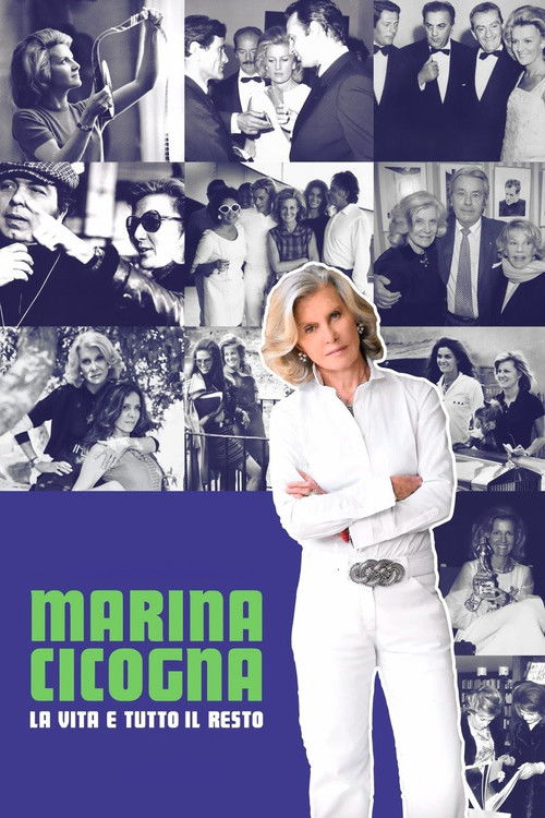 Marina Cicogna - La vita e tutto il resto (2021) poster