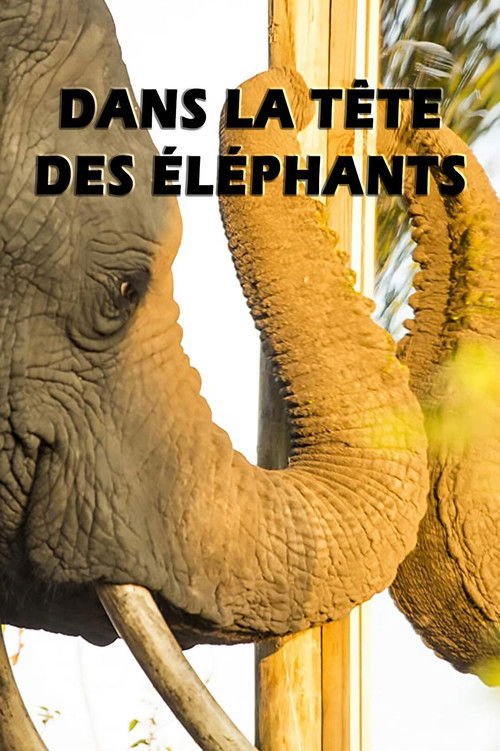 Mind of a Giant (2016) poster