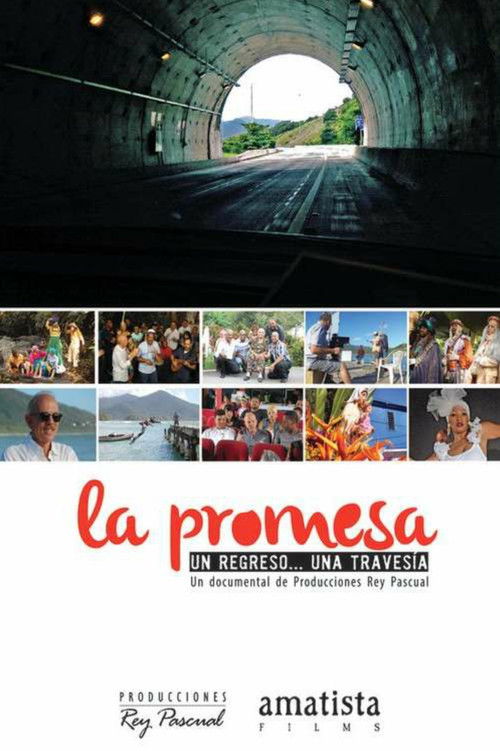 La promesa (2014) poster
