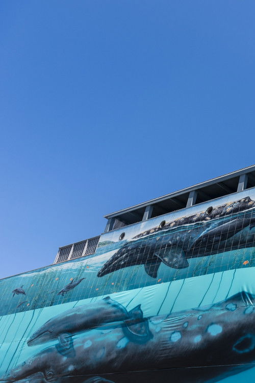 Ocean Stories: Wyland (2016) poster