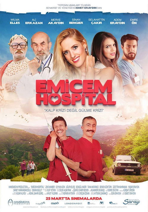 Emicem Hospital (2016) poster