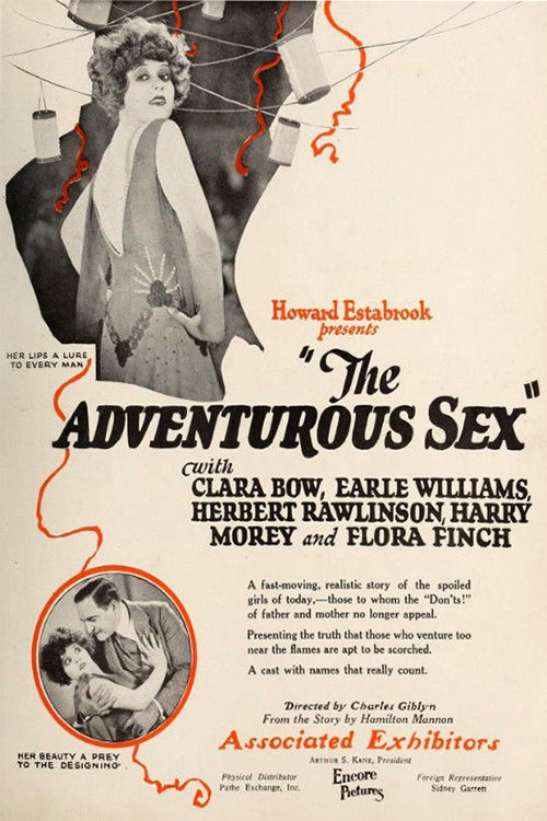 The Adventurous Sex (1925) poster