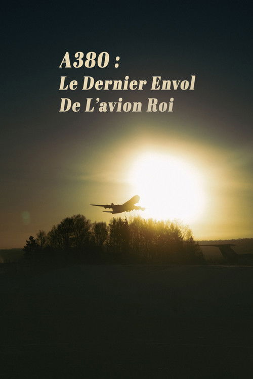 A380 : Le Dernier Envol de lavion roi (2021) poster