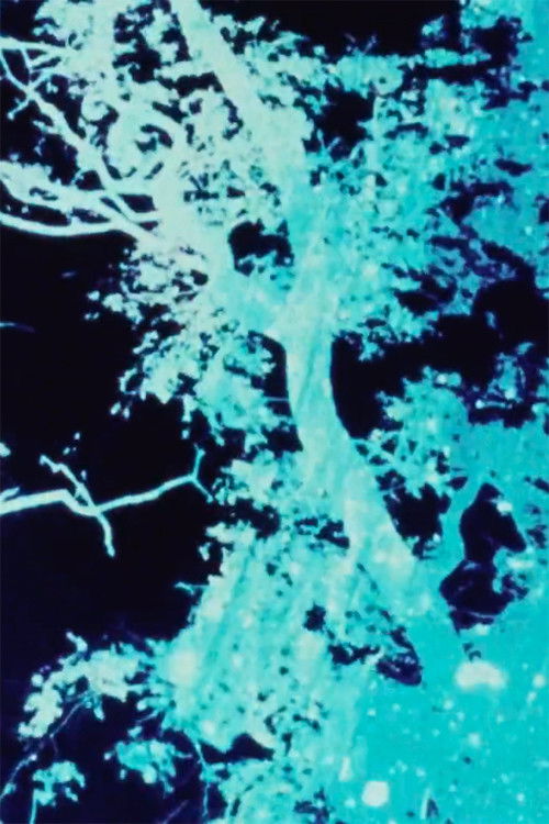 Sunprints 1, 2, 3 (2023) poster