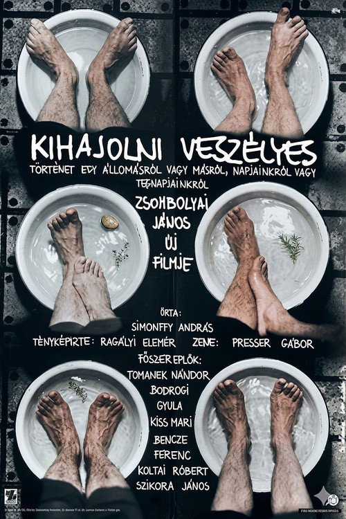 Kihajolni veszélyes (1978) poster