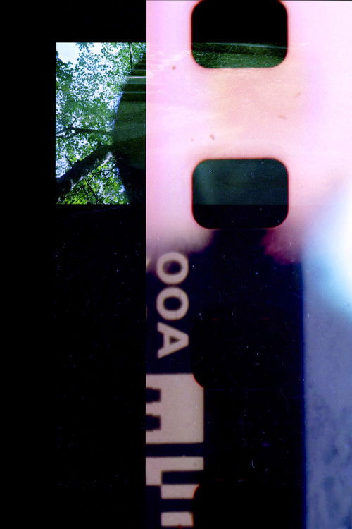 Frame Zero (2019) poster