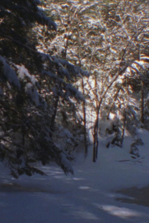 Winter Beyond Winter (2016) poster