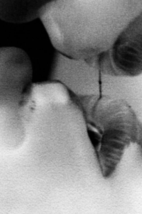 The Operation (1995) poster