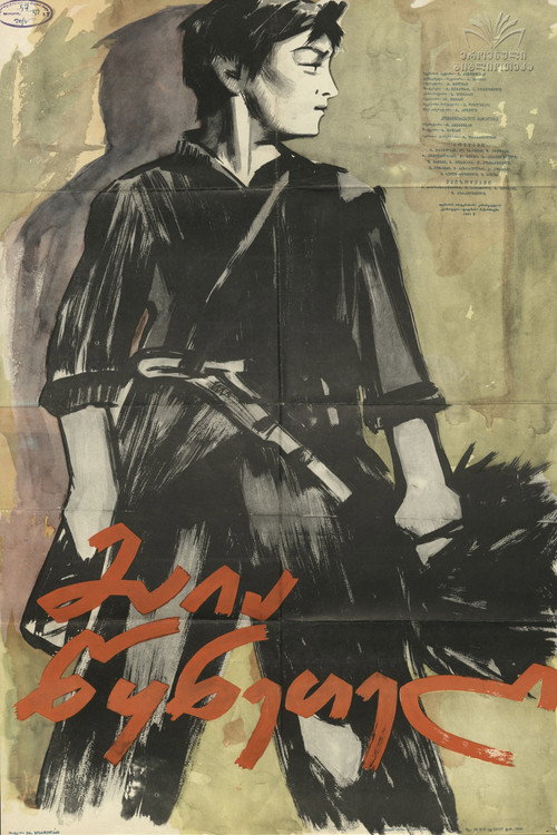 მაია წყნეთელი (1960) poster