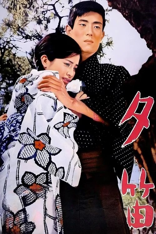 Lost Love (1967) poster