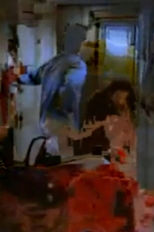 Panic in Needle Park (2013) poster