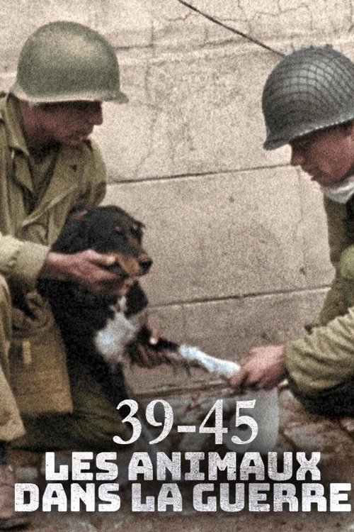 Animals at War, Wild Heroes of World War II (2019) poster