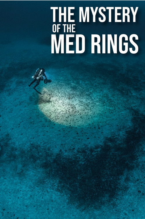 The Mystery of the Med Rings (2025) poster