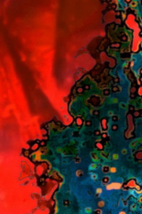 Memory Fade (2009) poster