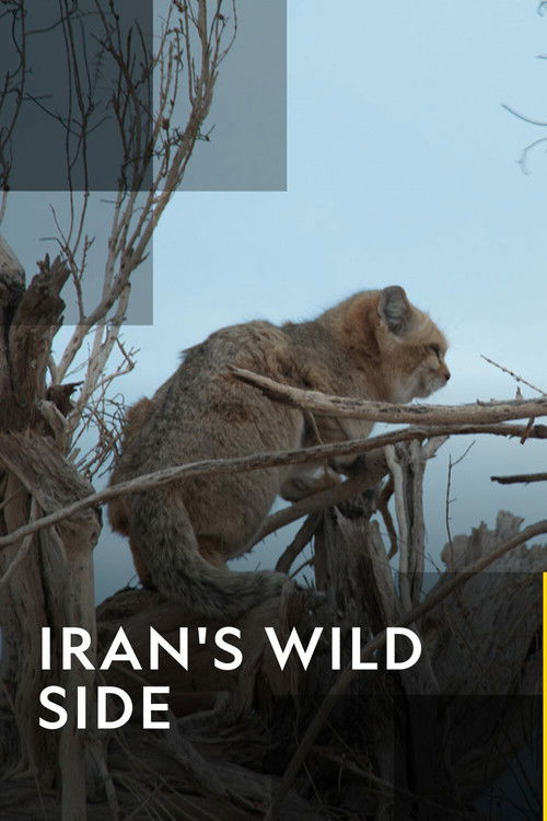 Iran's Wild Side (2019) poster