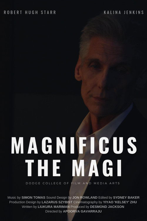 Magnificus the Magi (2019) poster