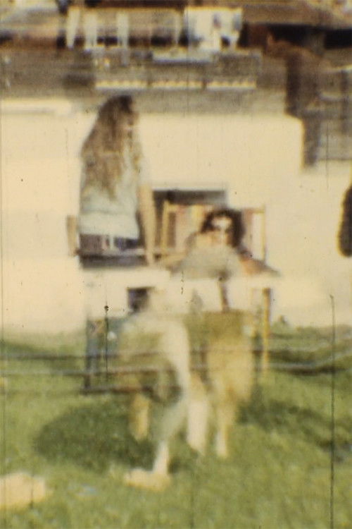 Gleanings (2017) poster