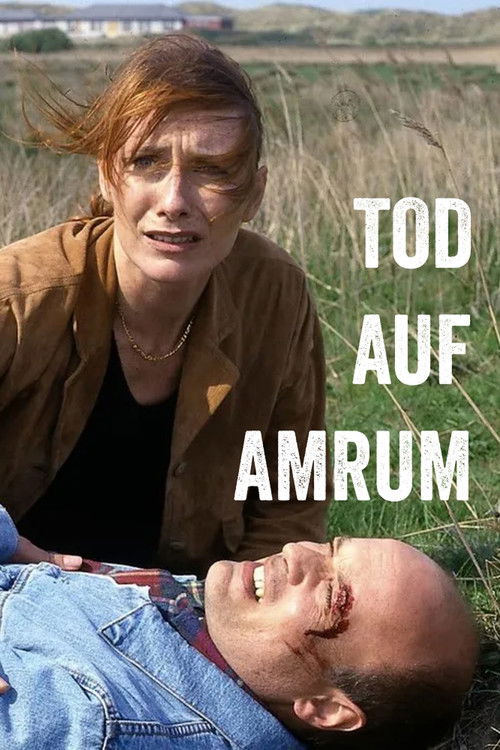 Tod auf Amrum (1998) poster