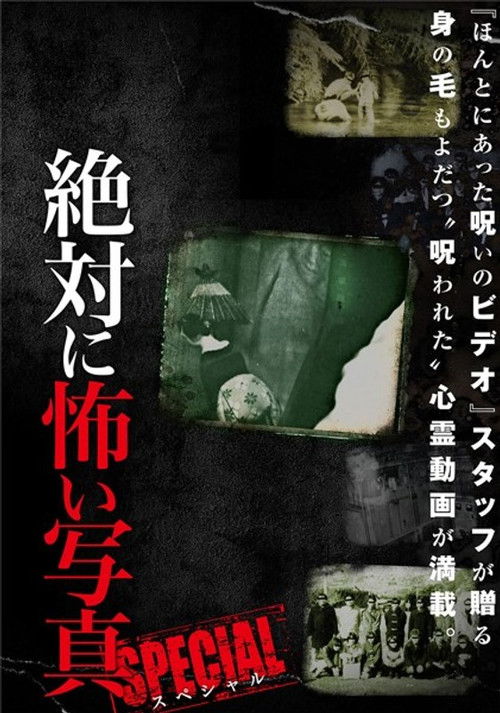 Absolutely Scary Photographs: Special (2013) poster