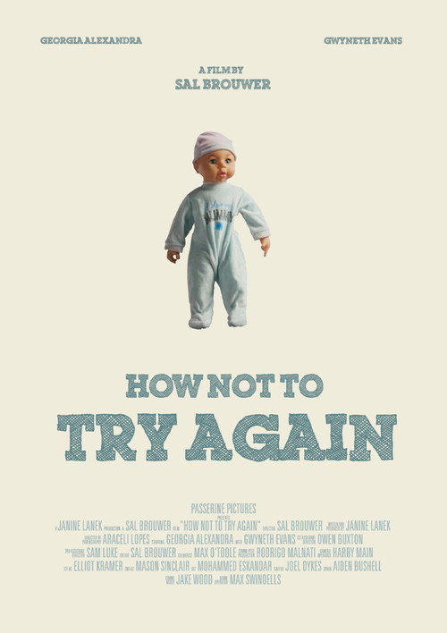 How Not To Try Again (2026) poster