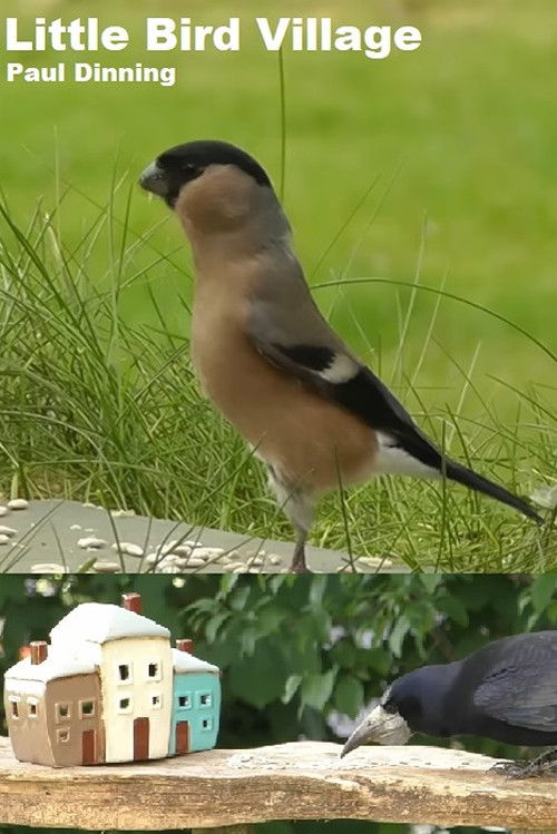 Little Bird Village (2022) poster