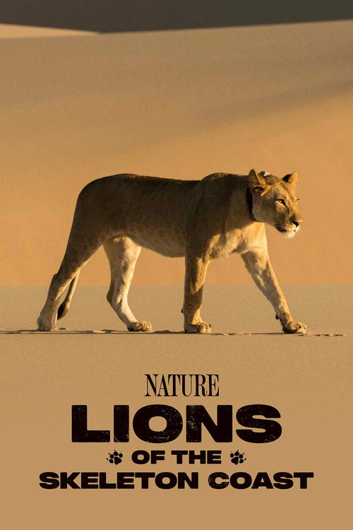 Lions of the Skeleton Coast (2025) poster