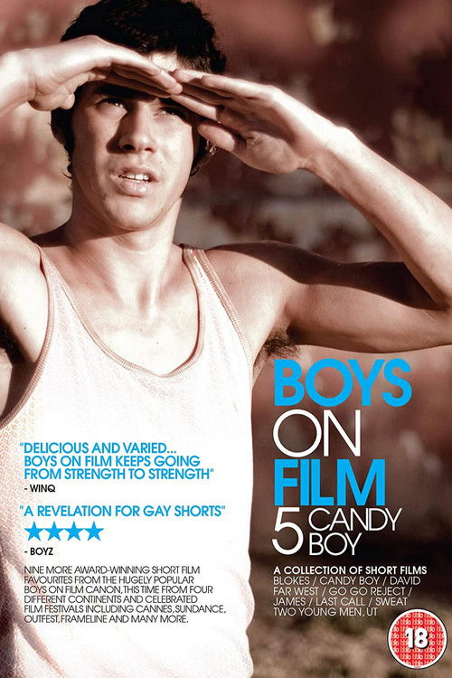 Boys On Film 5: Candy Boy (2010) poster