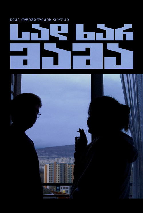 სად ხარ მამა (2024) poster