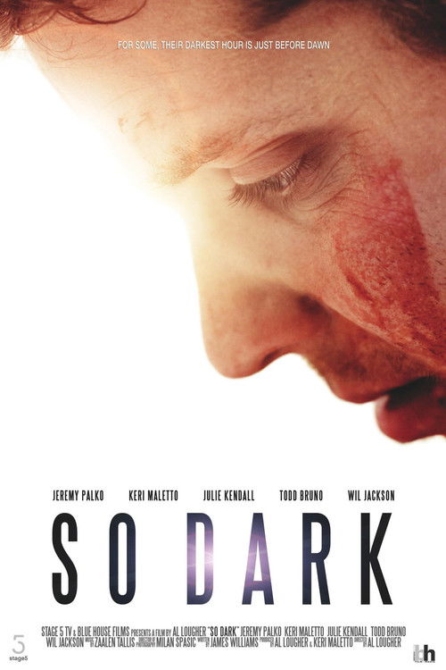 So Dark (2013) poster