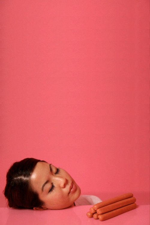 The Pink Detachment (2015) poster