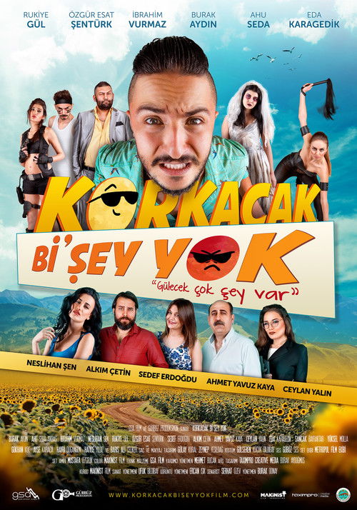 Korkacak Bi'şey Yok (2017) poster