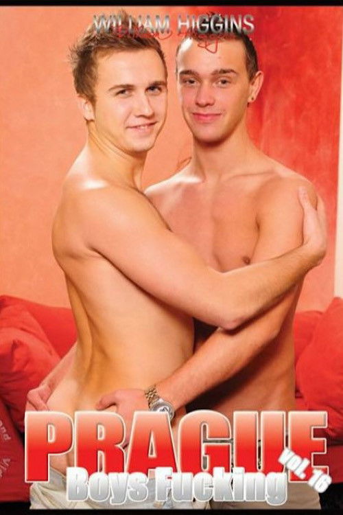 Prague Boys Fucking 16 (2012) poster